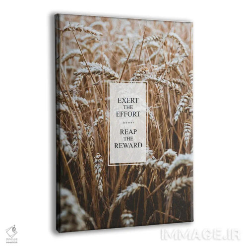 تابلو تلاش کن تا به پاداش برسی اثر آدریان بالدُوینو - نمای پرسپکتیو محصول