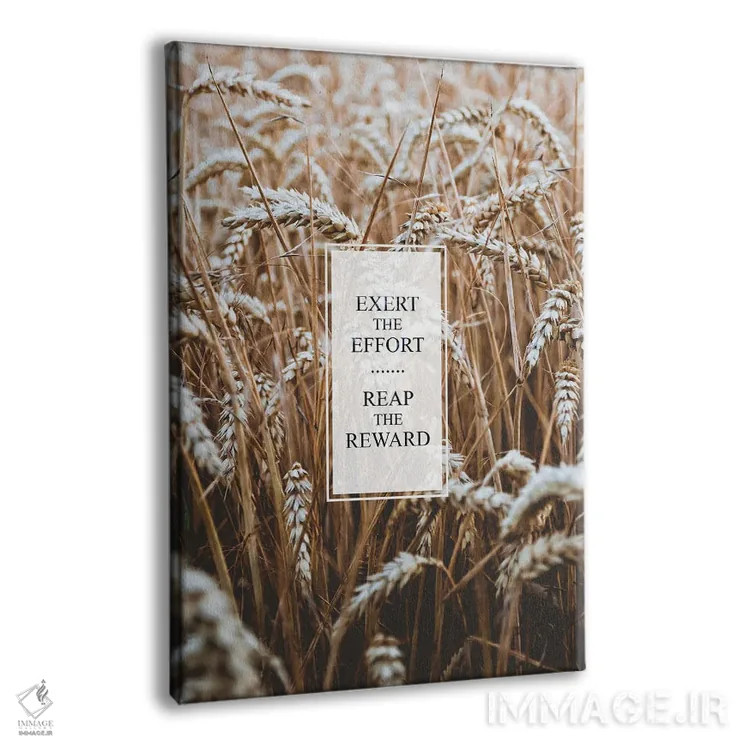 تابلو تلاش کن تا به پاداش برسی اثر آدریان بالدُوینو - نمای پرسپکتیو محصول