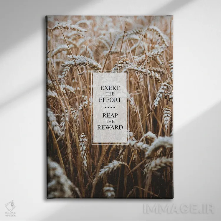 تابلو تلاش کن تا به پاداش برسی اثر آدریان بالدُوینو - نمای روبهرو روی دیوار