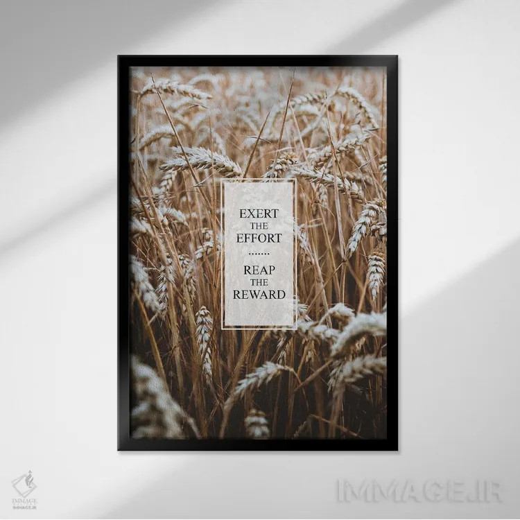 تابلو تلاش کن تا به پاداش برسی اثر آدریان بالدُوینو - نمای قابدار مشکی