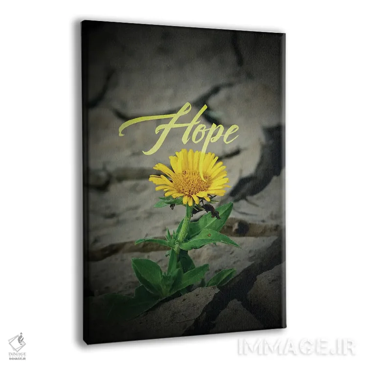 تابلو گل امید اثر آدریان بالدُوینو - نمای پرسپکتیو محصول