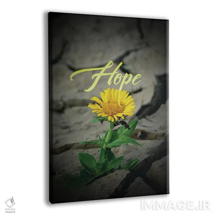 تابلو گل امید اثر آدریان بالدُوینو - نمای پرسپکتیو محصول