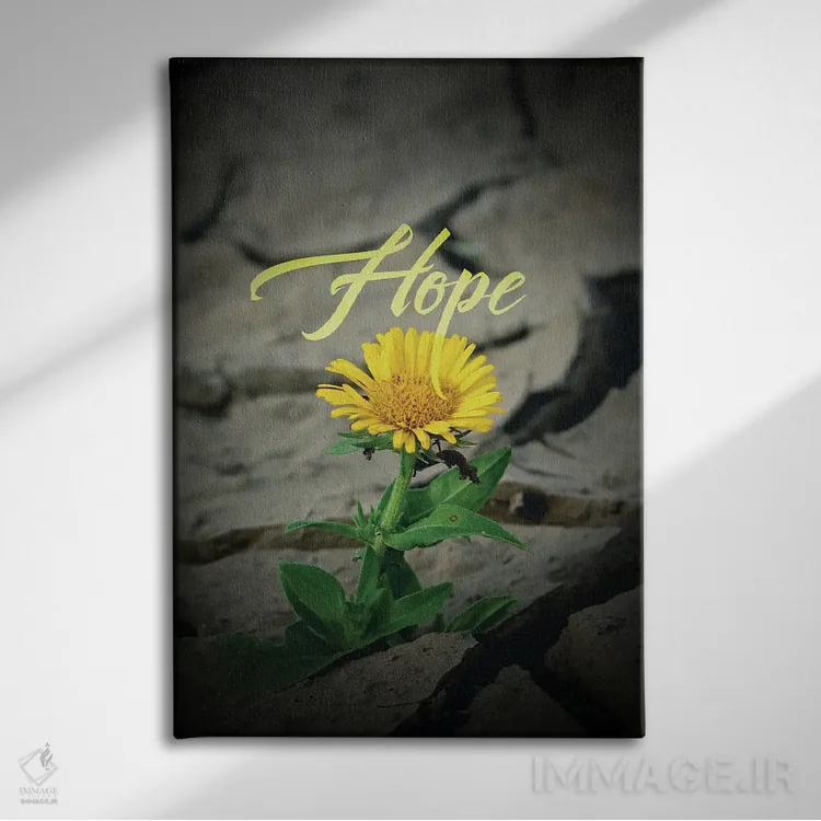 تابلو گل امید اثر آدریان بالدُوینو - نمای روبهرو روی دیوار