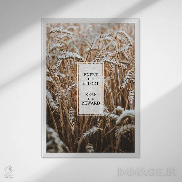 تابلو تلاش کن تا به پاداش برسی اثر آدریان بالدُوینو - نمای قابدار سفید