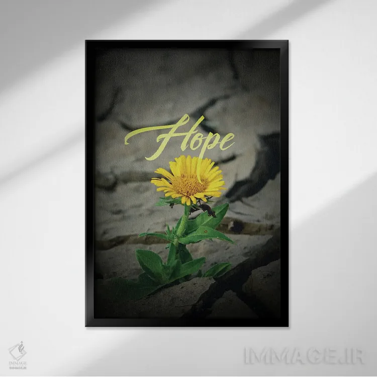 تابلو گل امید اثر آدریان بالدُوینو - نمای قابدار مشکی
