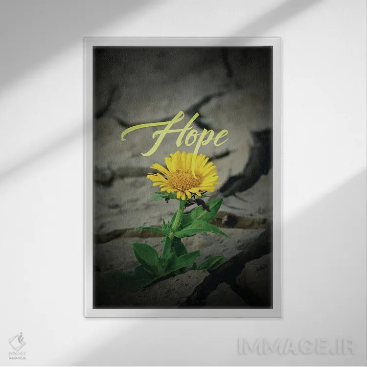 تابلو گل امید اثر آدریان بالدُوینو - نمای قابدار سفید