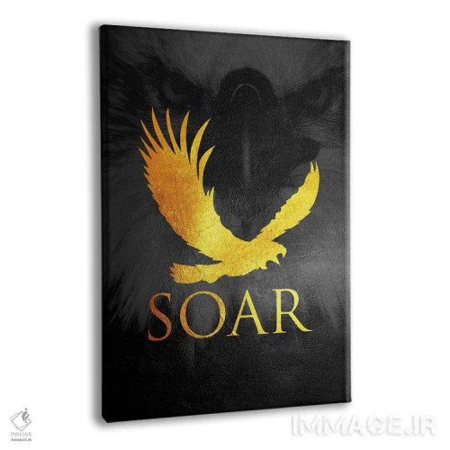 تابلو مانند عقاب اوج بگیر اثر آدریان بالدُوینو - نمای پرسپکتیو محصول