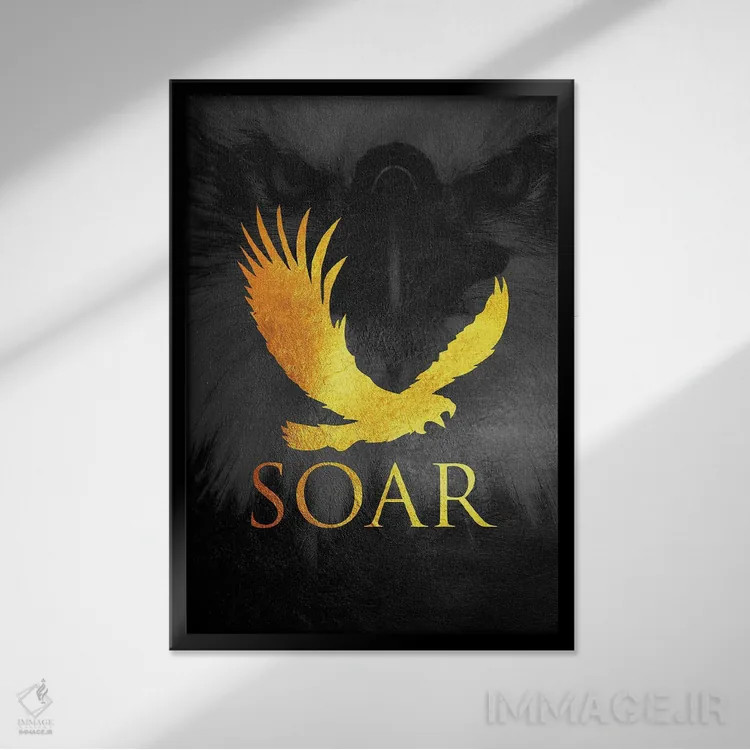 تابلو مانند عقاب اوج بگیر اثر آدریان بالدُوینو - نمای قابدار مشکی