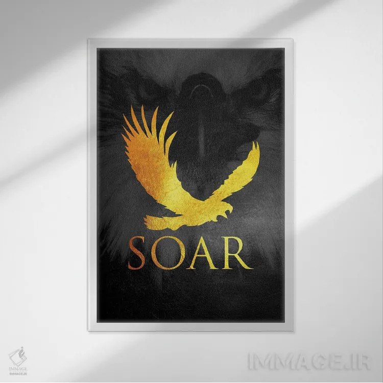 تابلو مانند عقاب اوج بگیر اثر آدریان بالدُوینو - نمای قابدار سفید