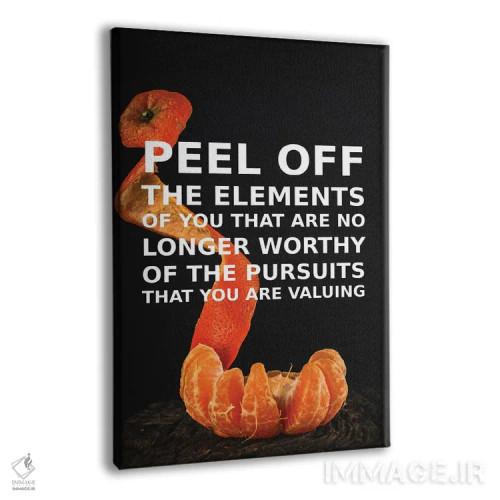 تابلو پوسته برداری اثر آدریان بالدُوینو - نمای پرسپکتیو محصول