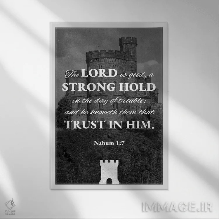 تابلو پایداری در سختیها اثر آدریان بالدُوینو - نمای قابدار سفید