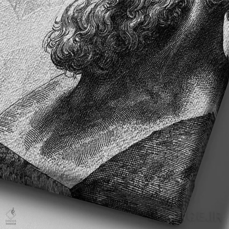 تابلو افلاطون اثر آدریان بالدُوینو - نمای نزدیک بافت بوم