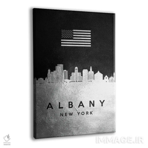 تابلو خط افق نقرهای آلبانی نیویورک اثر آدریان بالدُوینو - نمای پرسپکتیو محصول