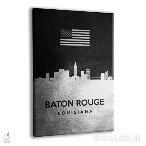 تابلو خط افق نقرهای باتونروژ لوئیزیانا اثر آدریان بالدُوینو - نمای پرسپکتیو محصول