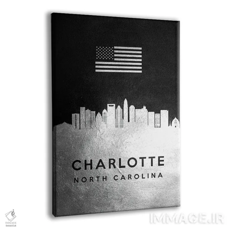 تابلو خط افق نقرهای شارلوت کارولینای شمالی ۲ اثر آدریان بالدُوینو - نمای پرسپکتیو محصول