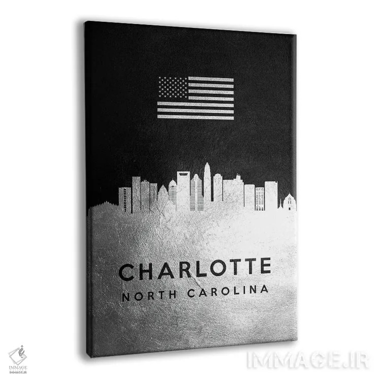 تابلو خط افق نقرهای شارلوت کارولینای شمالی ۲ اثر آدریان بالدُوینو - نمای پرسپکتیو محصول