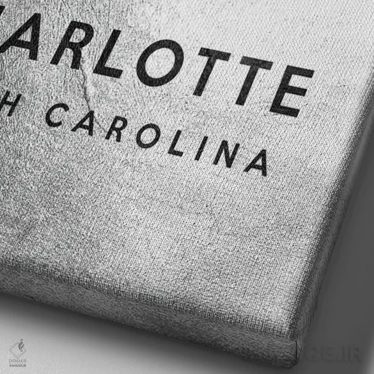 تابلو خط افق نقرهای شارلوت کارولینای شمالی ۲ اثر آدریان بالدُوینو - نمای نزدیک بافت بوم