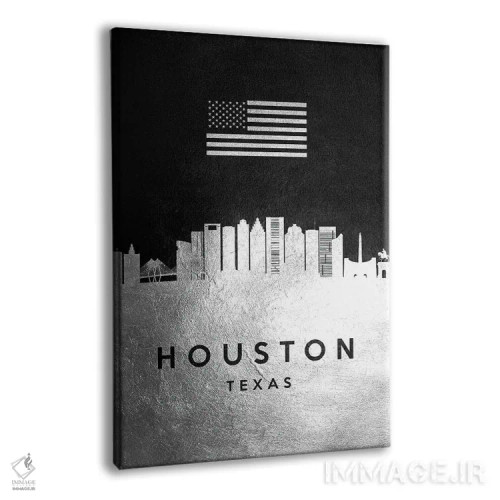 تابلو خط افق نقرهای هیوستون تگزاس اثر آدریان بالدُوینو - نمای پرسپکتیو محصول