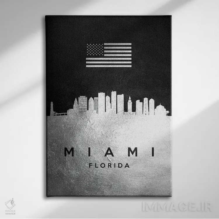 تابلو خط افق نقرهای میامی فلوریدا اثر آدریان بالدُوینو - نمای روبهرو روی دیوار