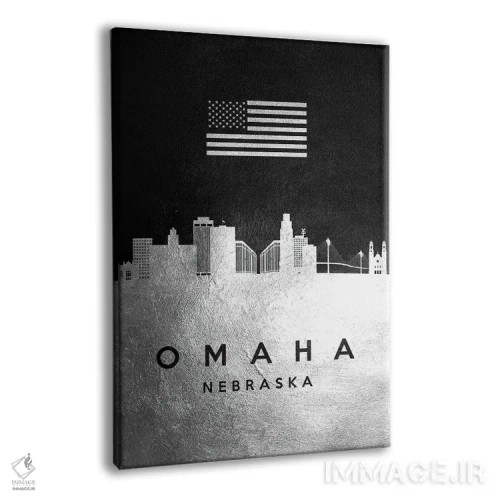 تابلو خط افق نقرهای اوماها نبراسکا اثر آدریان بالدُوینو - نمای پرسپکتیو محصول