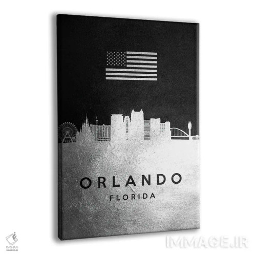 تابلو خط افق نقرهای اورلاندو فلوریدا اثر آدریان بالدُوینو - نمای پرسپکتیو محصول