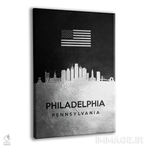 تابلو خط افق نقرهای فیلادلفیا پنسیلوانیا اثر آدریان بالدُوینو - نمای پرسپکتیو محصول