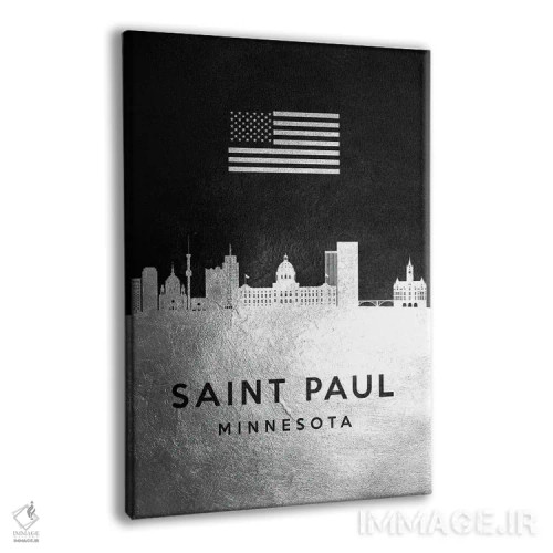 تابلو خط افق نقرهای سنت پل مینهسوتا اثر آدریان بالدُوینو - نمای پرسپکتیو محصول