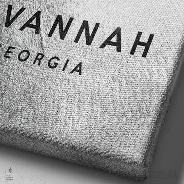 تابلو خط افق نقرهای ساوانا جورجیا اثر آدریان بالدُوینو - نمای نزدیک بافت بوم