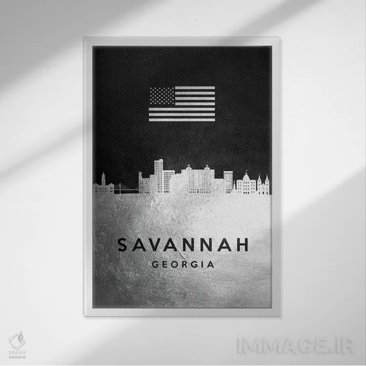 تابلو خط افق نقرهای ساوانا جورجیا اثر آدریان بالدُوینو - نمای قابدار سفید