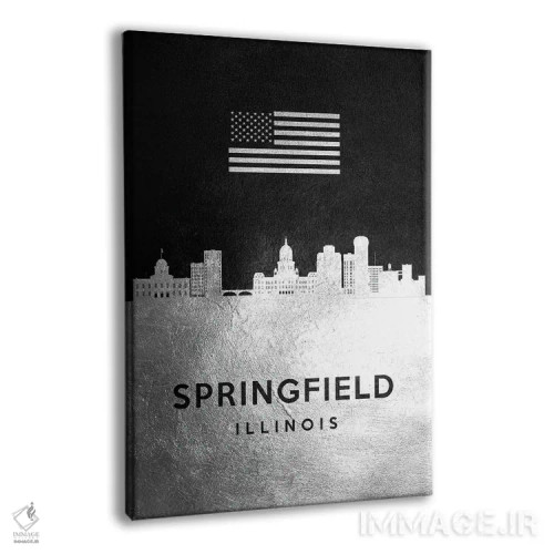 تابلو خط افق نقرهای اسپرینگفیلد ایلینوی اثر آدریان بالدُوینو - نمای پرسپکتیو محصول