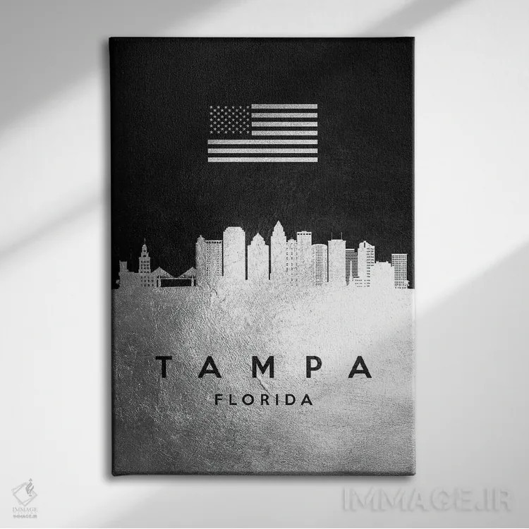 تابلو خط افق نقرهای تامپا فلوریدا اثر آدریان بالدُوینو - نمای روبهرو روی دیوار