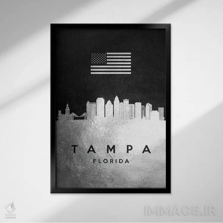 تابلو خط افق نقرهای تامپا فلوریدا اثر آدریان بالدُوینو - نمای قابدار مشکی