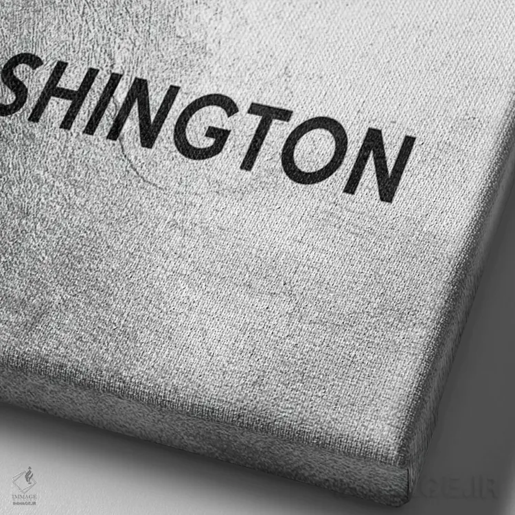 تابلو خط افق نقرهای واشینگتن اثر آدریان بالدُوینو - نمای نزدیک بافت بوم