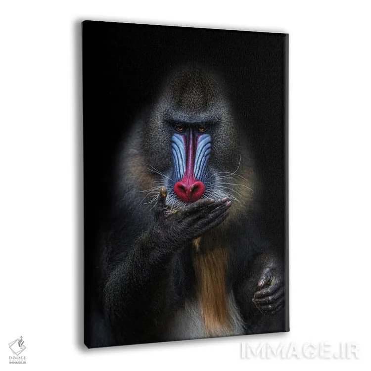 تابلو پیشگو اثر آلساندرو کاتا - نمای پرسپکتیو محصول