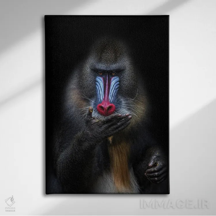 تابلو پیشگو اثر آلساندرو کاتا - نمای روبهرو روی دیوار