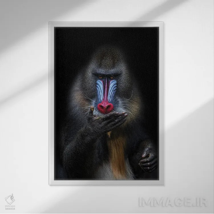 تابلو پیشگو اثر آلساندرو کاتا - نمای قابدار سفید