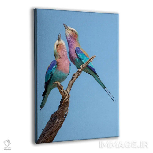 تابلو غلتکهای عشوهگر اثر آلساندرو کاتا - نمای پرسپکتیو محصول