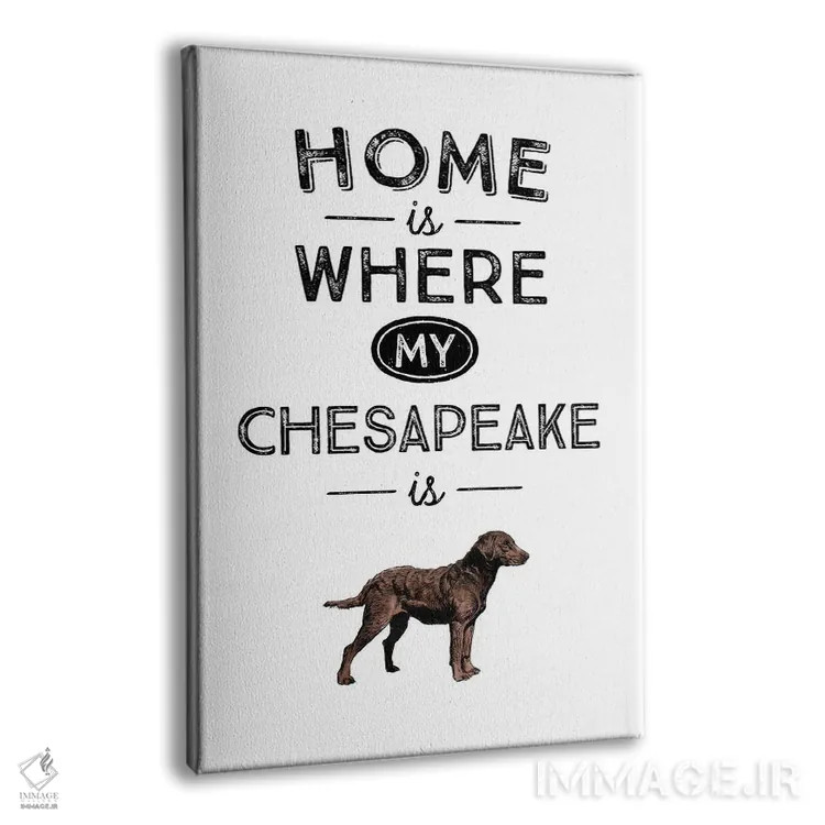 تابلو چساپیک (احتمالا اشاره به چساپیک بی ریتر، نژاد سگ) اثر پوسترهای طراحی آلچرا - نمای پرسپکتیو محصول