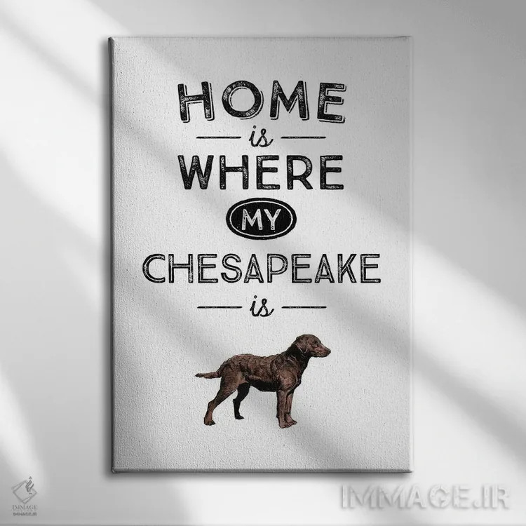 تابلو چساپیک (احتمالا اشاره به چساپیک بی ریتر، نژاد سگ) اثر پوسترهای طراحی آلچرا - نمای روبهرو روی دیوار