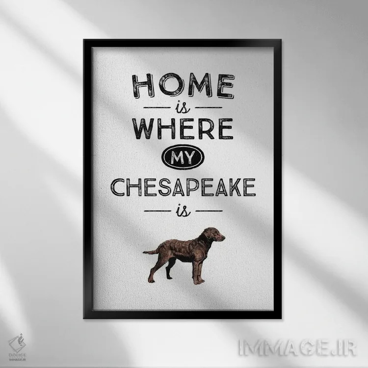 تابلو چساپیک (احتمالا اشاره به چساپیک بی ریتر، نژاد سگ) اثر پوسترهای طراحی آلچرا - نمای قابدار مشکی