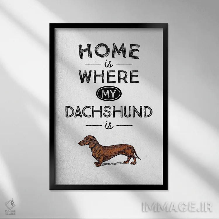 تابلو داشوند (سگ سوسیس؛ نژاد سگ) اثر پوسترهای طراحی آلچرا - نمای قابدار مشکی