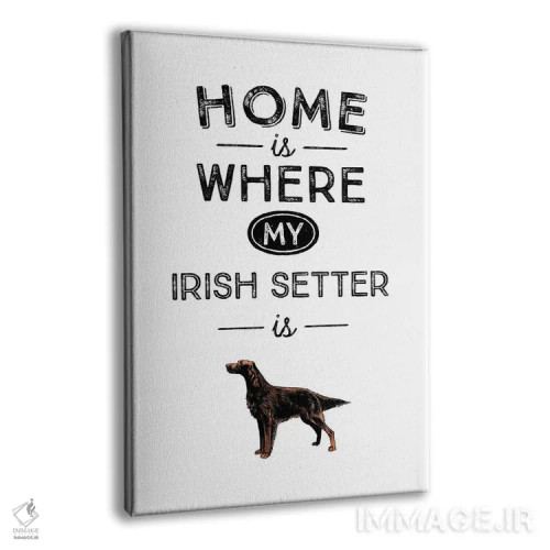 تابلو ایریش ستر (نژاد سگ) اثر پوسترهای طراحی آلچرا - نمای پرسپکتیو محصول