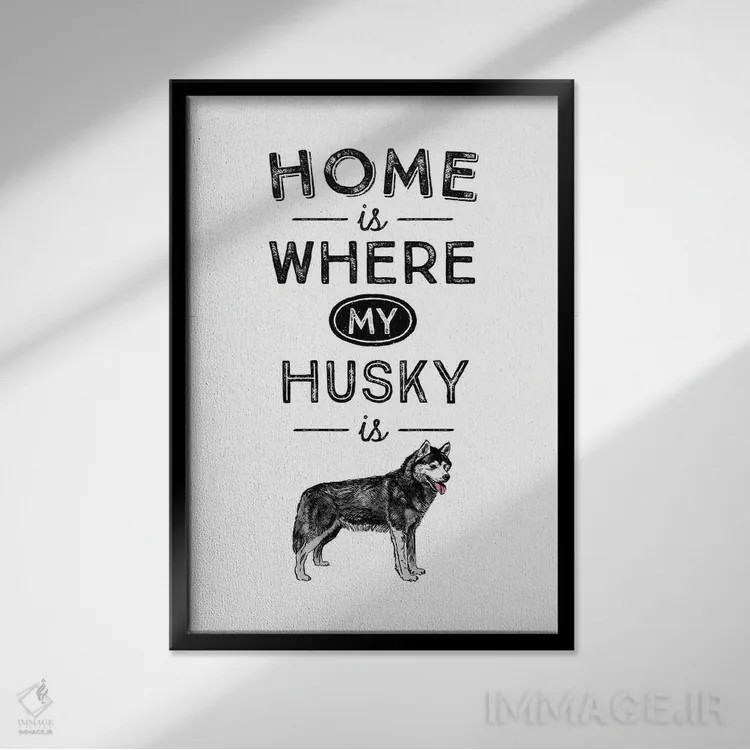 تابلو هاسکی (نژاد سگ) اثر پوسترهای طراحی آلچرا - نمای قابدار مشکی
