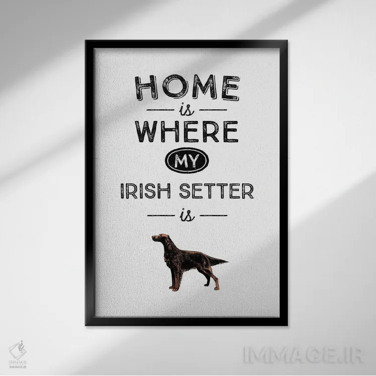 تابلو ایریش ستر (نژاد سگ) اثر پوسترهای طراحی آلچرا - نمای قابدار مشکی
