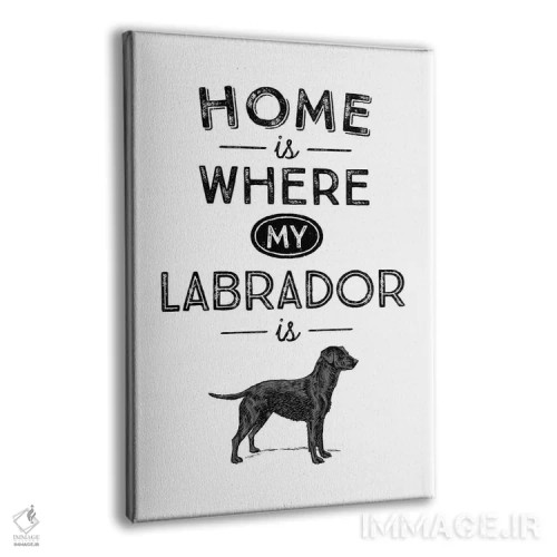 تابلو لابرادور مشکی (نژاد سگ) اثر پوسترهای طراحی آلچرا - نمای پرسپکتیو محصول