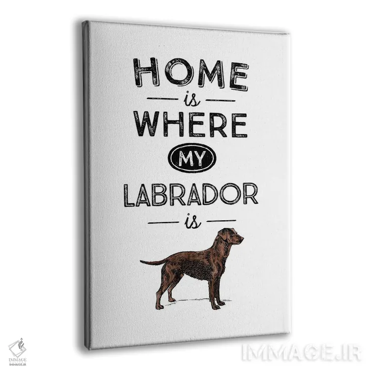 تابلو لابرادور شکلاتی (رنگ خاص نژاد سگ) اثر پوسترهای طراحی آلچرا - نمای پرسپکتیو محصول