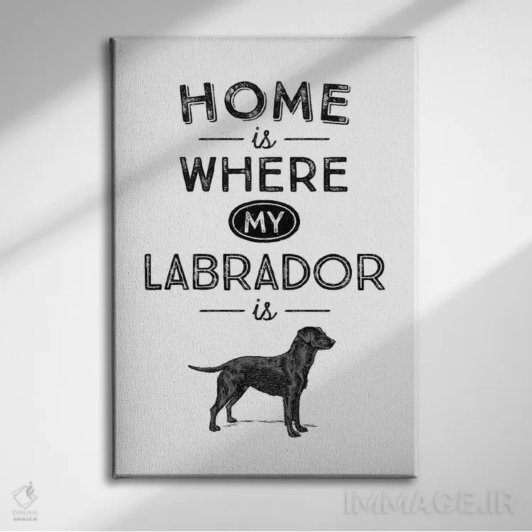 تابلو لابرادور مشکی (نژاد سگ) اثر پوسترهای طراحی آلچرا - نمای روبهرو روی دیوار