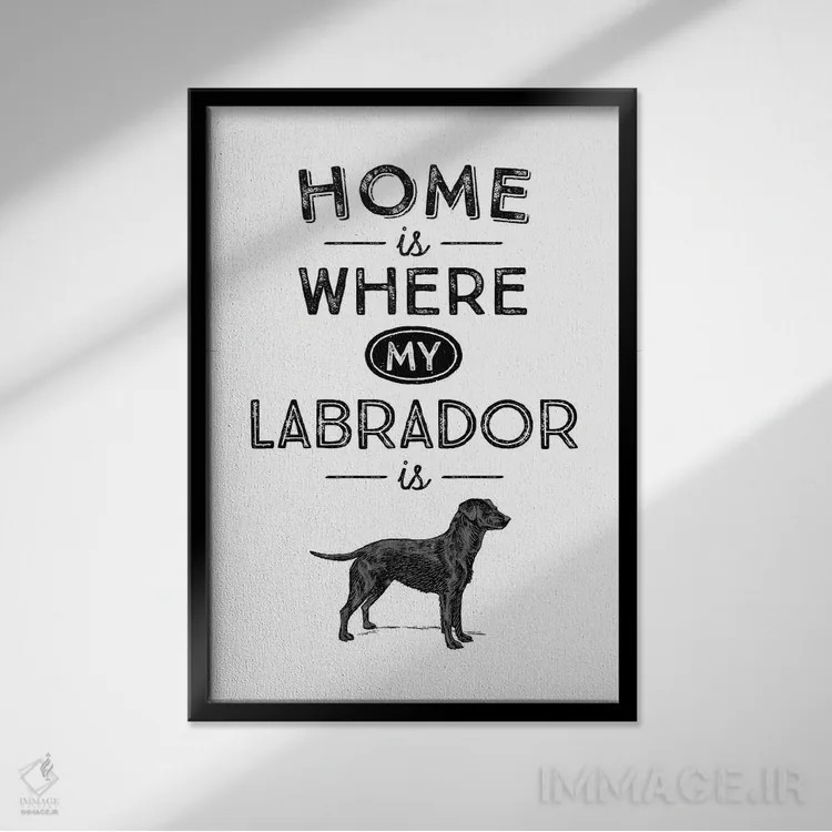تابلو لابرادور مشکی (نژاد سگ) اثر پوسترهای طراحی آلچرا - نمای قابدار مشکی