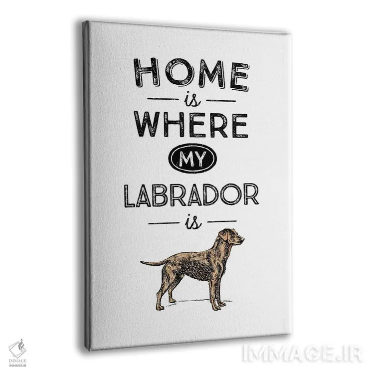 تابلو لابرادور زرد (رنگ خاص نژاد سگ) اثر پوسترهای طراحی آلچرا - نمای پرسپکتیو محصول