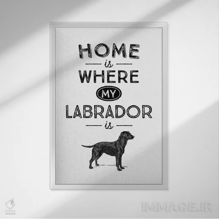 تابلو لابرادور مشکی (نژاد سگ) اثر پوسترهای طراحی آلچرا - نمای قابدار سفید